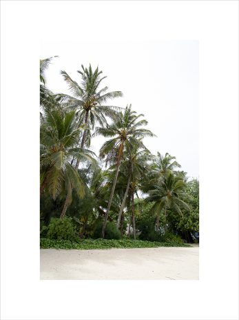 Alternative view of Beach Fringe + Lean On Me