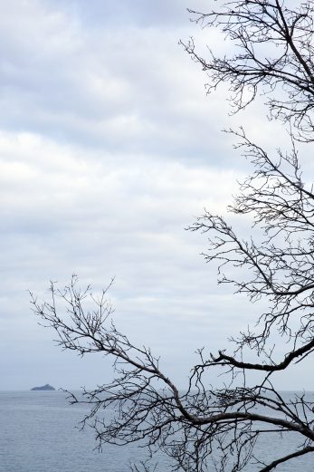Branching Out