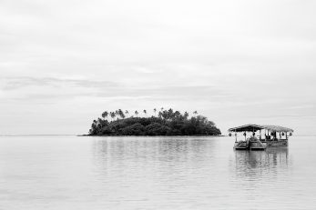 Coconut Cruise - BW