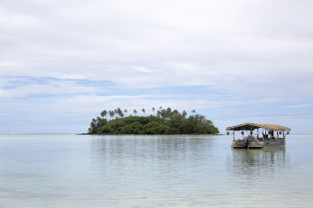 Coconut Cruise