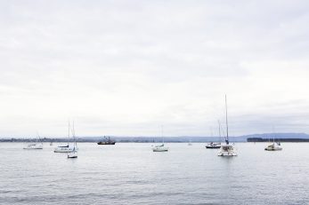 Harbour Boats