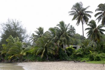Island Hut