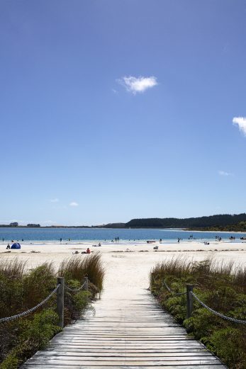 Kai Iwi Summer