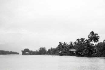 Lagoon Neighbours - BW