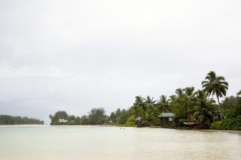 Lagoon Neighbours