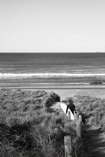 Let's Go Surfing