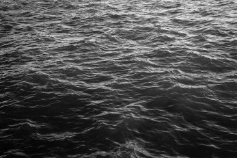 Moana - BW