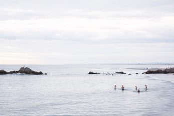 Morning Dip