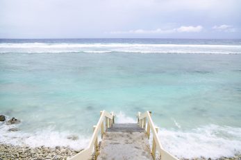 Ocean Tonic