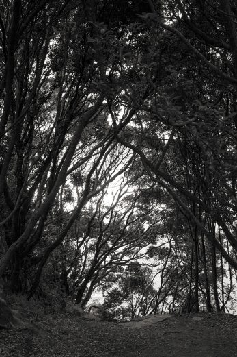 On Track - BW