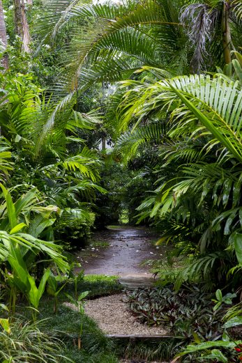 Tropical Retreat