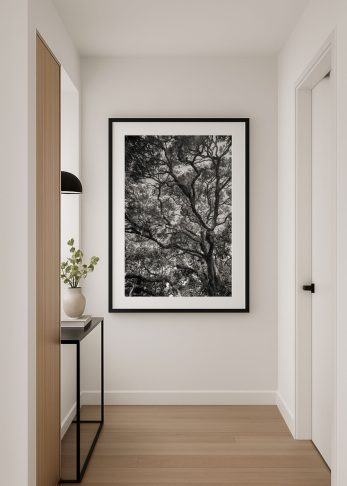 Alternative view of Grandfather Tree