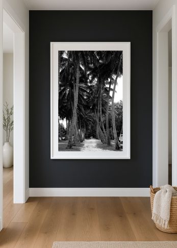 Alternative view of Coconut Lane - BW