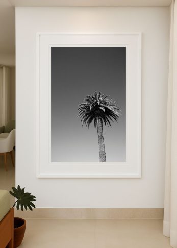 Alternative view of Summer Palm - BW