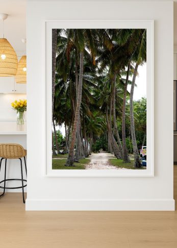 Alternative view of Coconut Lane