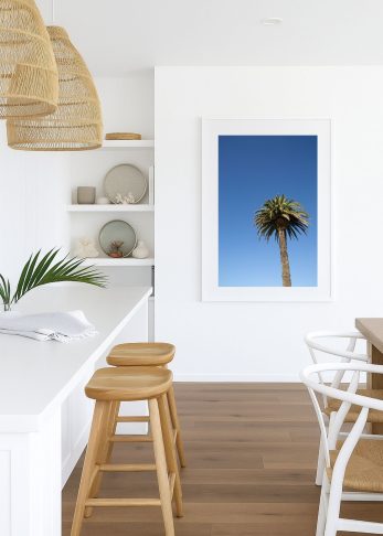 Alternative view of Summer Palm