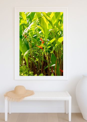 Alternative view of Tropical Lush