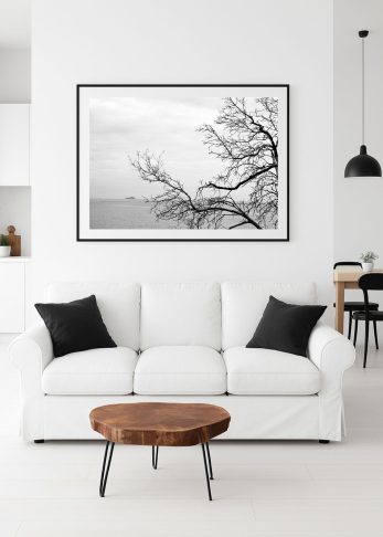 Alternative view of Branching Out - Landscape BW
