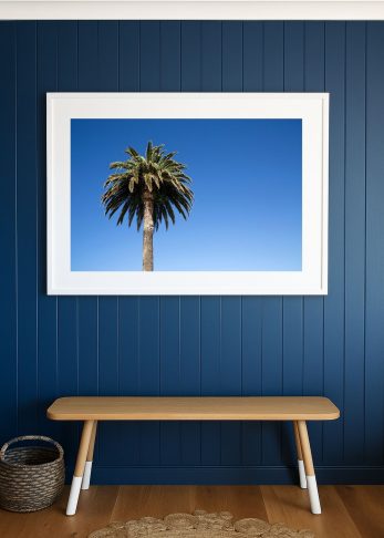 Alternative view of Summer Palm - Landscape