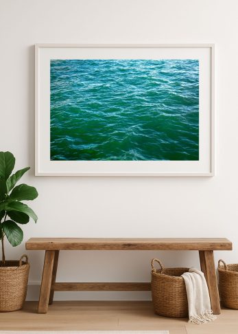 Alternative view of Moana