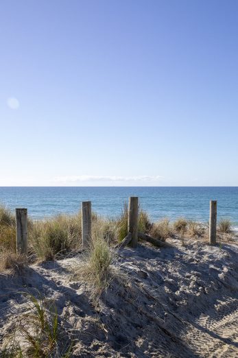 Beach Track Views