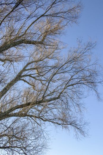 Between Seasons