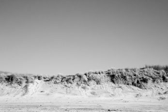Dune Horizon - BW