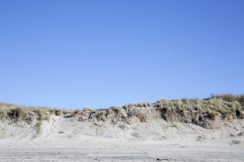 Dune Horizon