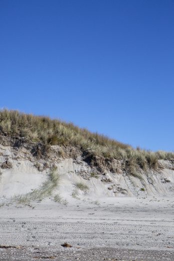 Dune Ridge