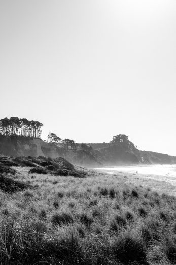 Out There Together - BW