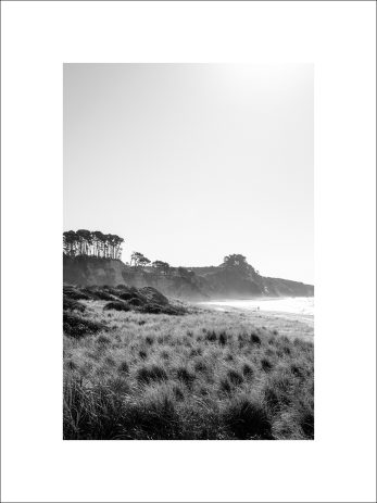 Alternative view of Out There Together + Late Arvo Paddle - BW