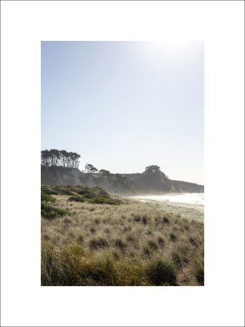 Alternative view of Out There Together + Seaside Path