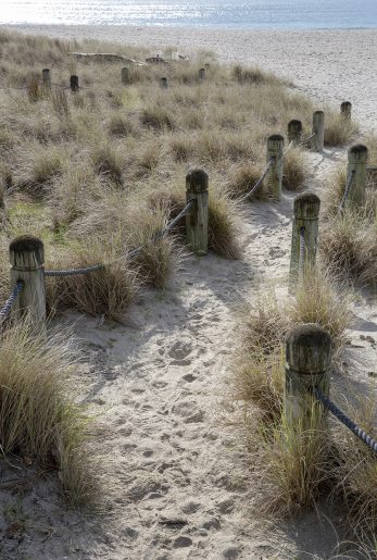 Seaside Path