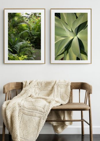 Secret Path / She is Succulent