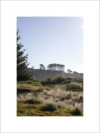 Alternative view of Soft Landing + Seaside Path