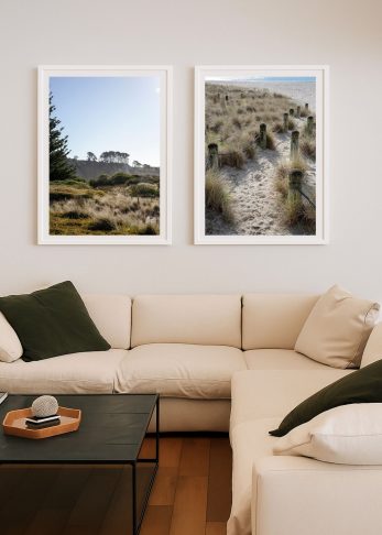 Soft Landing + Seaside Path