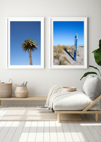 Summer Palm + This Way To Summer
