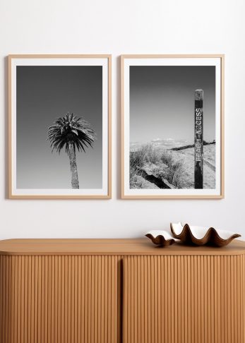Summer Palm + Where We Always Go