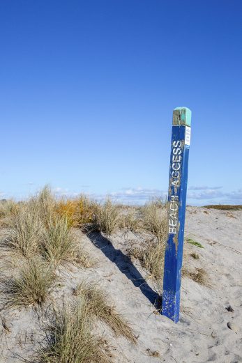 This Way To Summer