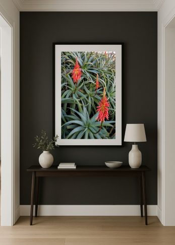 Alternative view of Coral Bloom