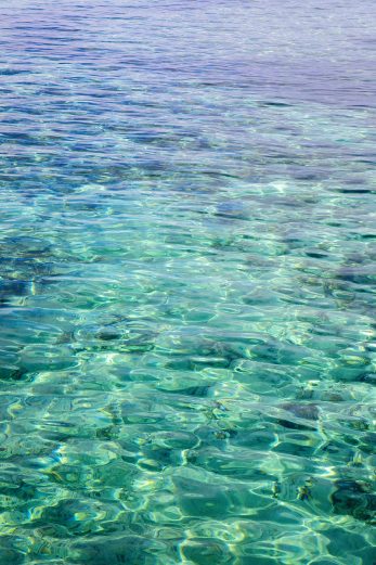 Crystal Waters