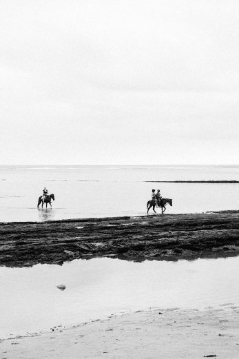 Island Horseback