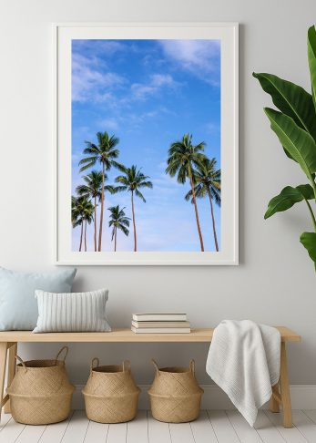 Alternative view of Palm Breeze