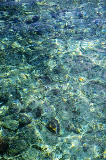 Paua Ocean