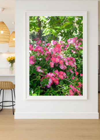 Alternative view of Pink Blossom