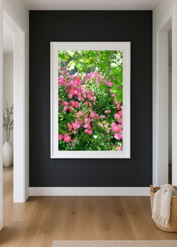 Alternative view of Secret Garden
