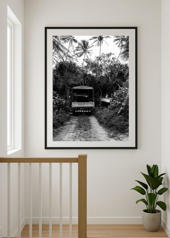 Alternative view of The Backroad