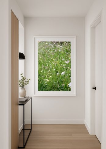 Alternative view of Wild Daisy