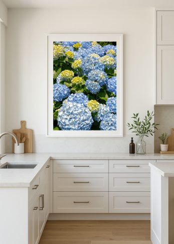 Alternative view of Baby Blue