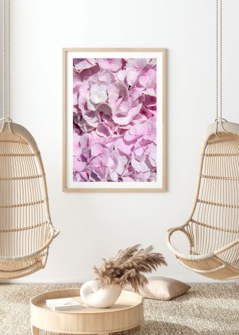 Alternative view of Candy Floss Bloom